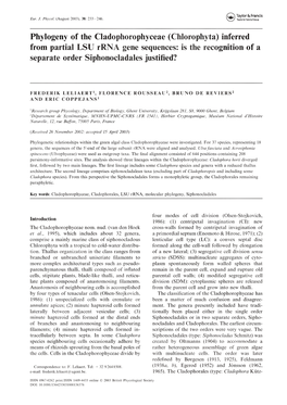 Phylogeny of the Cladophorophyceae (Chlorophyta) Inferred from Partial LSU Rrna Gene Sequences: Is the Recognition of a Separate Order Siphonocladales Justified?