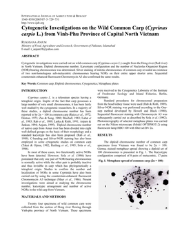 Cytogenetic Investigations on the Wild Common Carp (Cyprinus Carpio L.) from Vinh-Phu Province of Capital North Vietnam