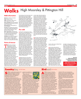 High Moorsley & Pittington Hill