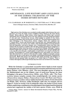 Abundance, Life History and Ligulosis in the Gobies (Teleostei) of the Inner Severn Estuary