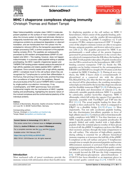 MHC I Chaperone Complexes Shaping Immunity