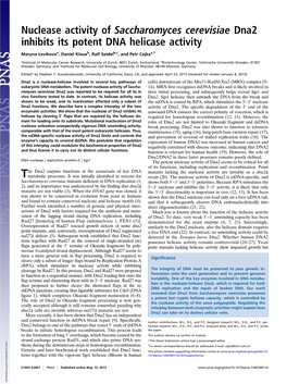 Nuclease Activity of Saccharomyces Cerevisiae Dna2 Inhibits Its Potent DNA Helicase Activity