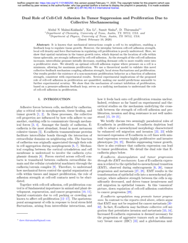 Dual Role of Cell-Cell Adhesion in Tumor Suppression and Proliferation Due to Collective Mechanosensing