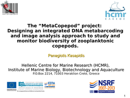 The “Metacopepod” Project: Designing an Integrated DNA Metabarcoding and Image Analysis Approach to Study and Monitor Biodiversity of Zooplanktonic Copepods