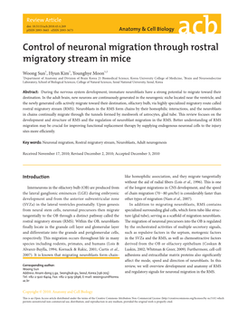 Control of Neuronal Migration Through Rostral Migratory Stream in Mice