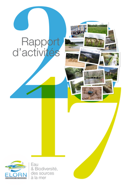 Rapport D'activités