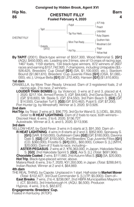 CHESTNUT FILLY Barn 4 Hip No. 86