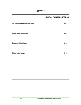 Bridge Capital Program