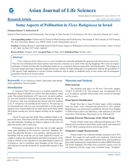 Some Aspects of Pollination in Ficus Rubiginosa in Israel