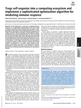 Tregs Self-Organize Into a Computing Ecosystem and Implement A