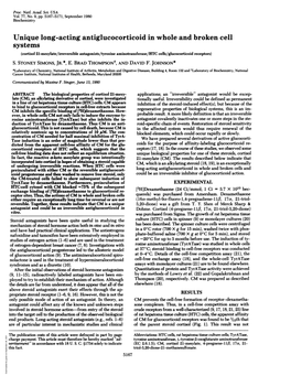 Unique Long-Acting Antiglucocorticoid in Whole and Broken Cell Systems