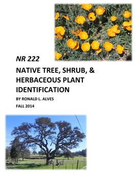 Nr 222 Native Tree, Shrub, & Herbaceous Plant