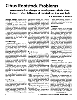 Citrus Rootstock Problems Recommendations Change As Developments Within Citrus Industry Reflect Influence of Rootstock on Tree and Fruit