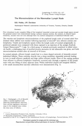 The Microcirculation of the Mammalian Lymph Node