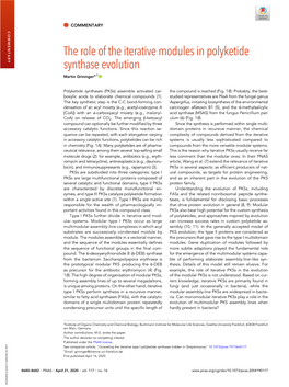 The Role of the Iterative Modules in Polyketide Synthase Evolution