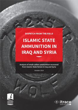 Islamic State Ammunition in Iraq and Syria