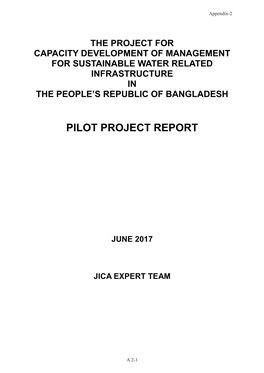 Pilot Project Report