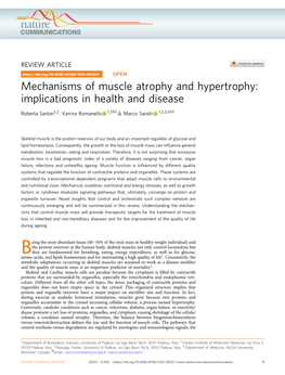 Mechanisms of Muscle Atrophy and Hypertrophy: Implications in Health and Disease ✉ ✉ Roberta Sartori1,2, Vanina Romanello 1,2 & Marco Sandri 1,2,3,4