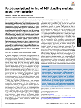 Post-Transcriptional Tuning of FGF Signaling Mediates Neural Crest Induction