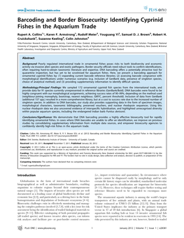 Barcoding and Border Biosecurity: Identifying Cyprinid Fishes in the Aquarium Trade