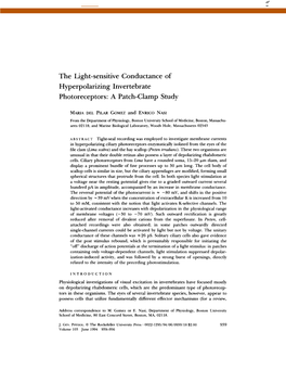 The Light-Sensitive Conductance of Hyperpolarizing Invertebrate Photoreceptors: a Patch-Clamp Study