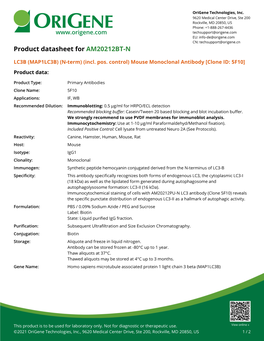 LC3B (MAP1LC3B) (N-Term) (Incl. Pos. Control) Mouse Monoclonal Antibody [Clone ID: 5F10] Product Data