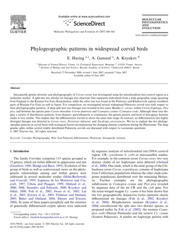 Phylogeographic Patterns in Widespread Corvid Birds