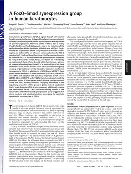 A Foxo–Smad Synexpression Group in Human Keratinocytes