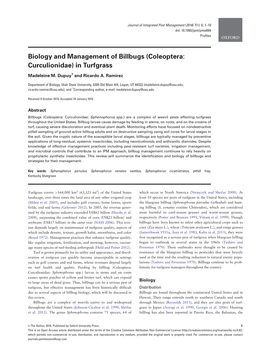 Biology and Management of Billbugs (Coleoptera: Curculionidae) in Turfgrass