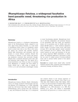 Rhamphicarpa Fistulosa, a Widespread Facultative Hemi&#X2010;Parasitic