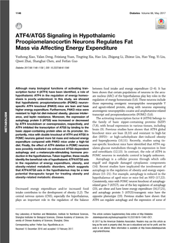 ATF4/ATG5 Signaling in Hypothalamic Proopiomelanocortin Neurons Regulates Fat Mass Via Affecting Energy Expenditure