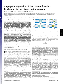 Amphiphile Regulation of Ion Channel Function by Changes in the Bilayer Spring Constant