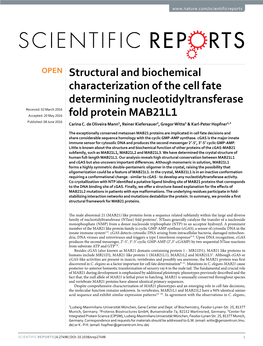 Structural and Biochemical Characterization of the Cell Fate