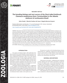 The Breeding Biology and Nest Success of the Short-Tailed Antthrush Chamaeza Campanisona (Aves: Formicariidae) in the Atlantic Rainforest of Northeastern Brazil