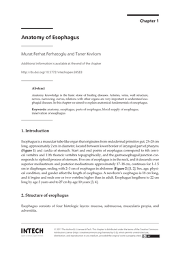 Anatomy of Esophagus Anatomy of Esophagus