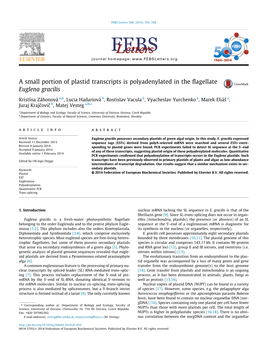 A Small Portion of Plastid Transcripts Is Polyadenylated in the Flagellate