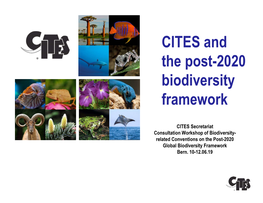 CITES and the Post-2020 Biodiversity Framework