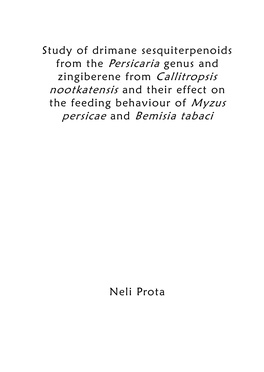 Study of Drimane Sesquiterpenoids from the Persicaria Genus And