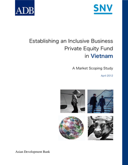 Establishing an Inclusive Business Private Equity Fund in Vietnam: a Market Scoping Study