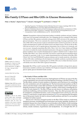 Rho Family Gtpases and Rho Gefs in Glucose Homeostasis