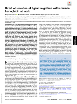 Direct Observation of Ligand Migration Within Human Hemoglobin at Work