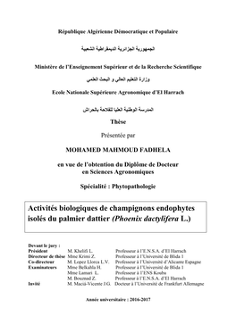 Activités Biologiques De Champignons Endophytes Isolés Du Palmier Dattier (Phoenix Dactylifera L.)