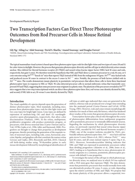 Two Transcription Factors Can Direct Three Photoreceptor Outcomes from Rod Precursor Cells in Mouse Retinal Development