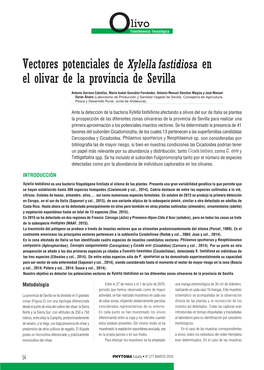 Vectores Potenciales De Xylella Fastidiosa En El Olivar De La Provincia De Sevilla