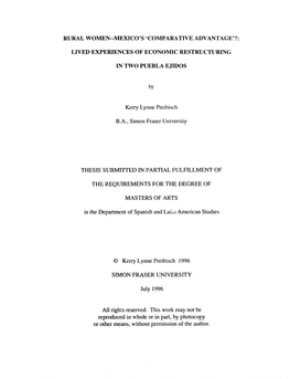 'Comparative Advantage'? Final Reflections 6.1 the Modernized Countiyside: Coping with the Ci~Rientpolicy Framework 6.2 Gender and Comparative Advantage