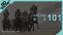 Hong Kong Racing 101 香港賽馬知識101