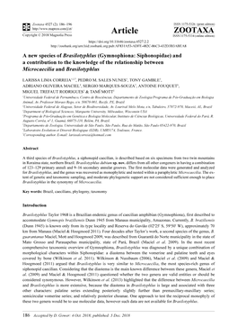 A New Species of Brasilotyphlus (Gymnophiona: Siphonopidae) and a Contribution to the Knowledge of the Relationship Between Microcaecilia and Brasilotyphlus