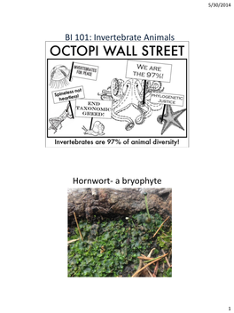 BI 101: Invertebrate Animals