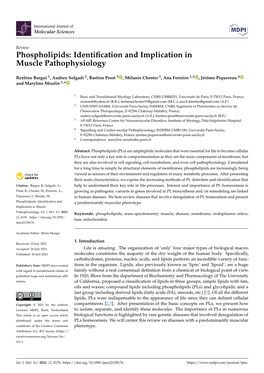 Phospholipids: Identiﬁcation and Implication in Muscle Pathophysiology