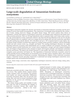 Large-Scale Degradation of Amazonian Freshwater Ecosystems